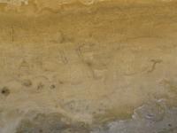 Albums/20060200-New Zealand 2006/20060316-Twiz/35